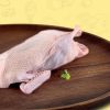 Local Duck