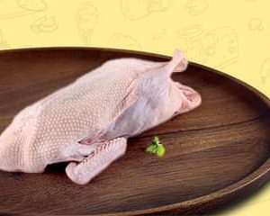 Local Duck
