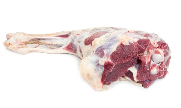 Beef Front Leg Bone In